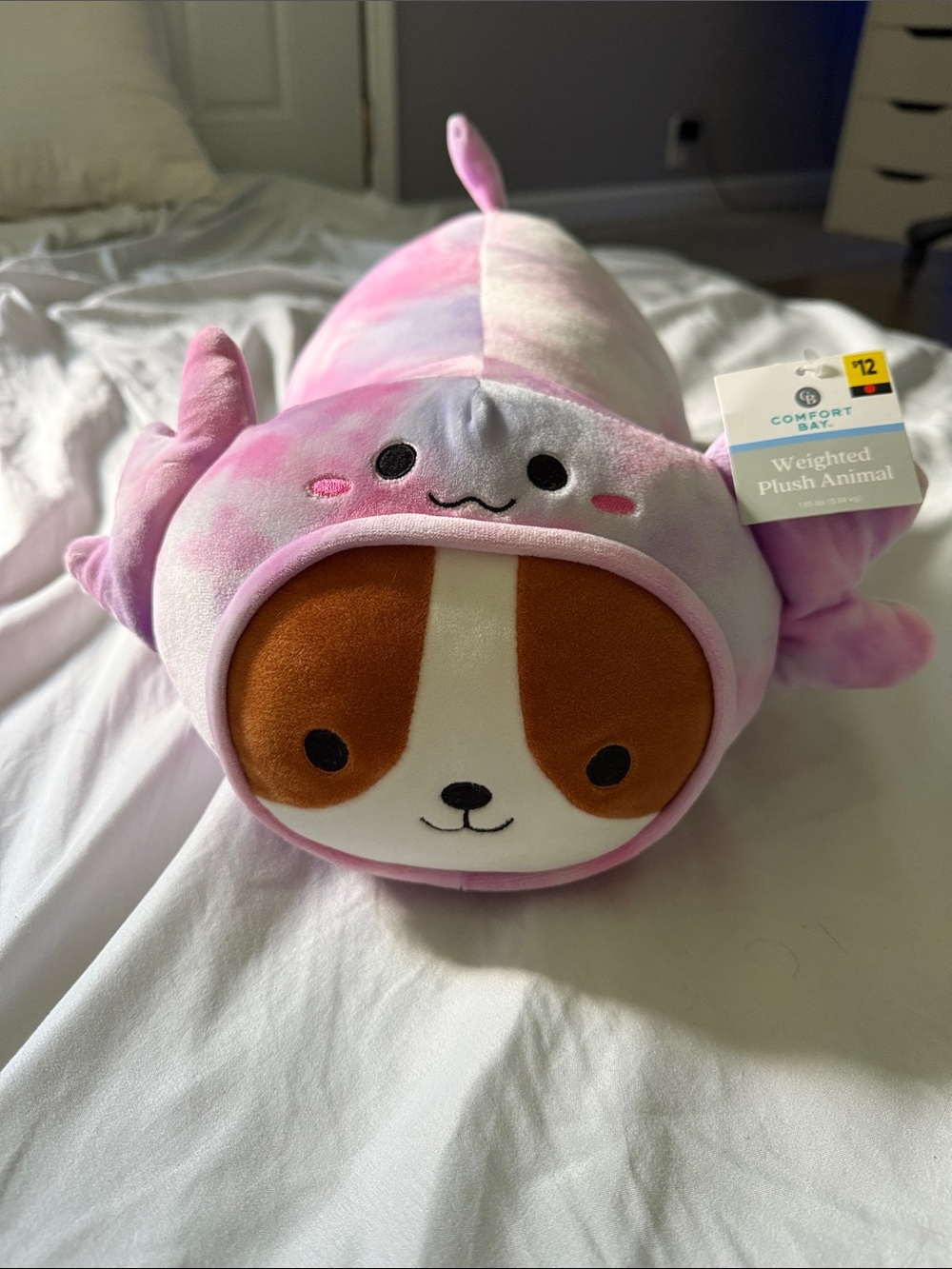 Comfort Bay Pink Tie-Dye Weighted Plush Pet Toy - Dog Face